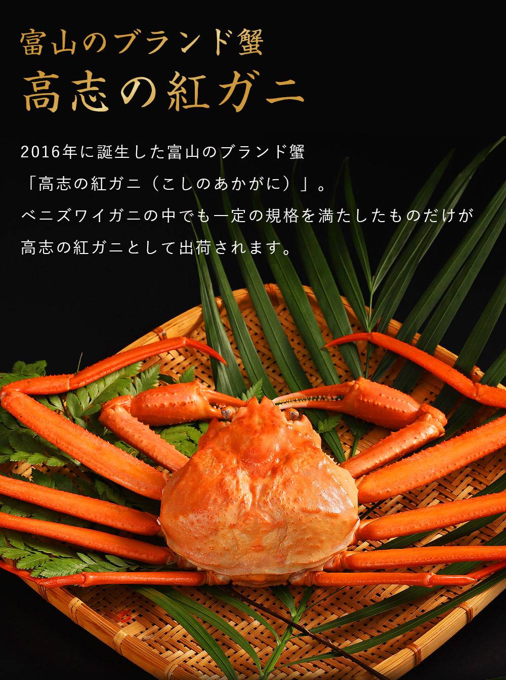 蟹